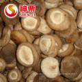 Frozen Shiitake Mushroom IQF Shiitake mushrooms